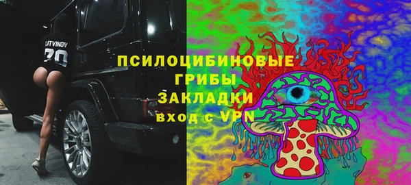 метадон Алексин