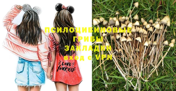 метадон Алексин