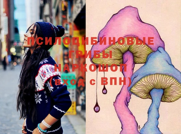 метадон Алексин