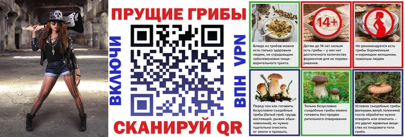Псилоцибиновые грибы Psilocybine cubensis Удачный