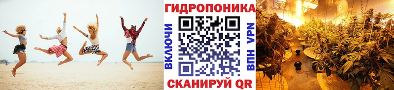 продажа наркотиков  Удачный  Бошки Шишки MAZAR 